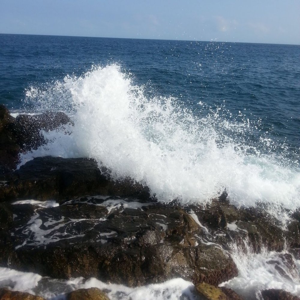 Meet your Posher, Maureen